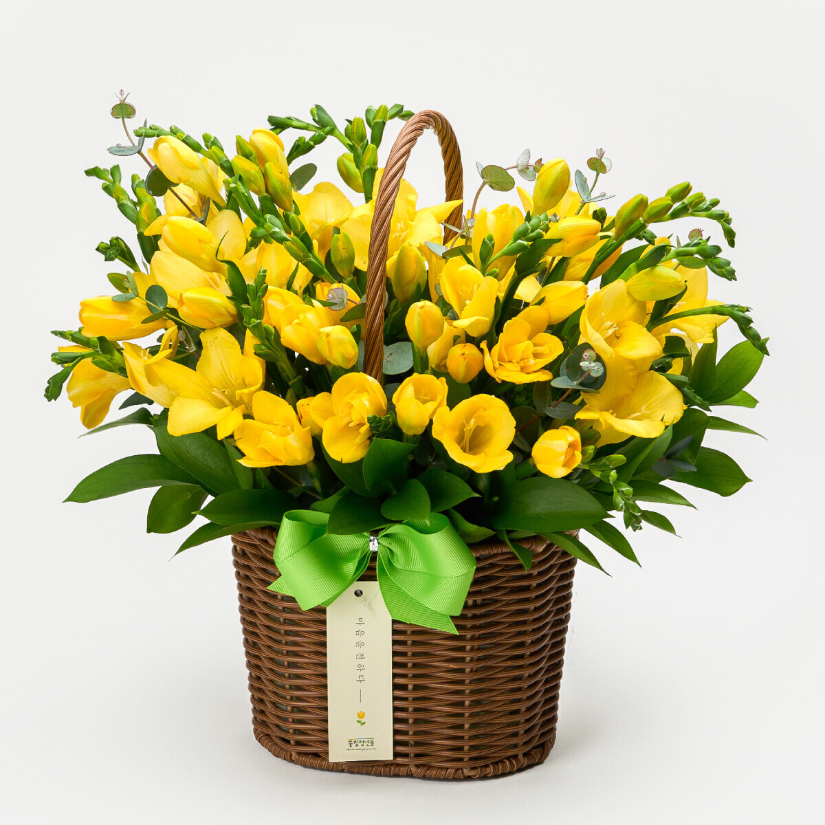 봄향기 솔솔~ 프리지아