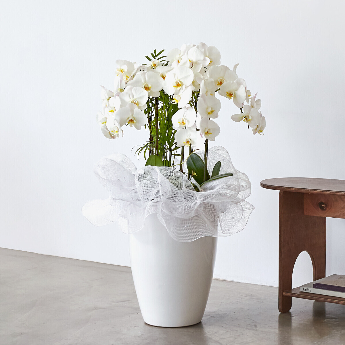 근조 흰색호접란 클래식