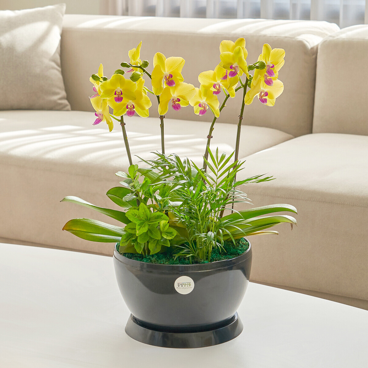 썬셋 클래식블랙 2호