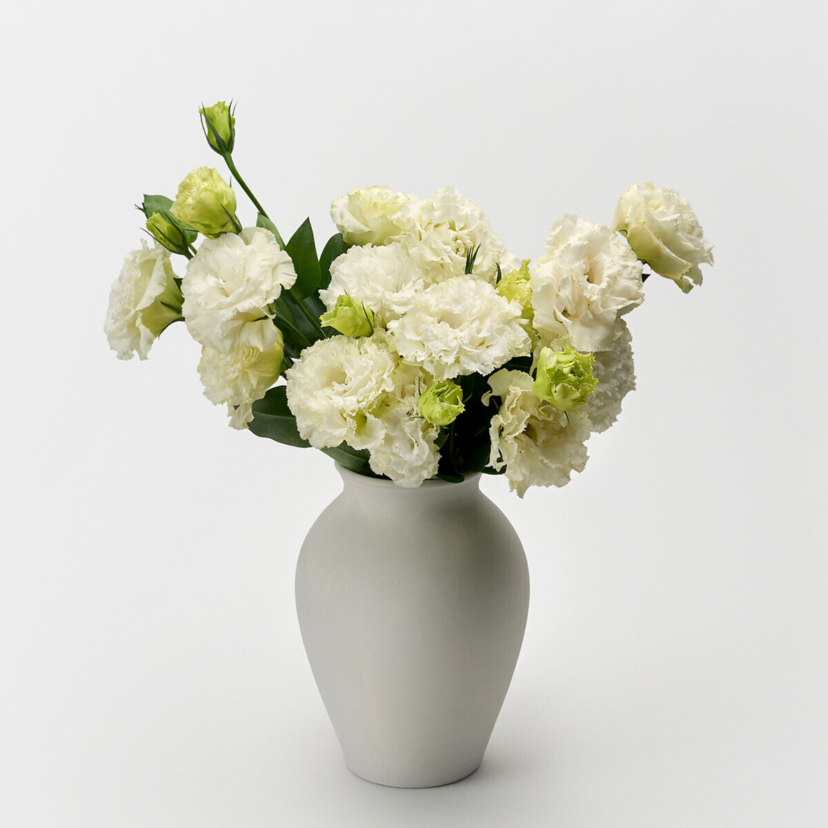 리시안셔스 화이트 5대