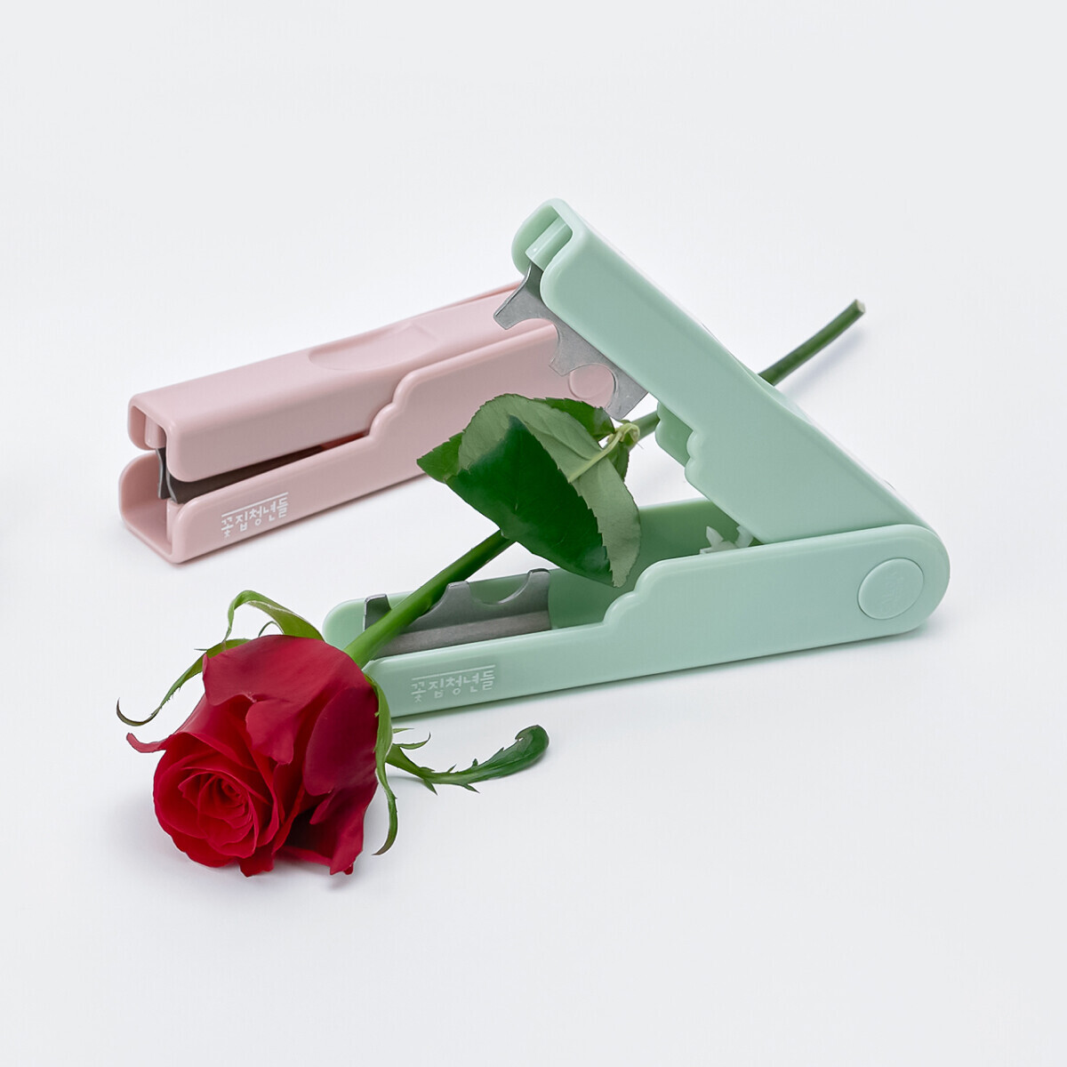 파스텔 가시제거기