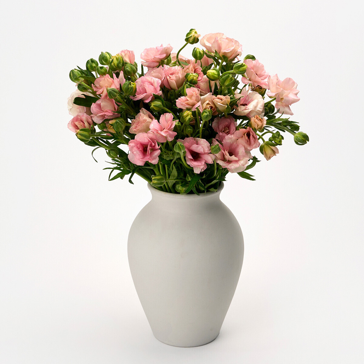 버터플라이 핑크 5대