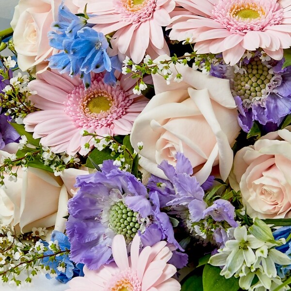 꽃집청년들,뮤티드 핑크