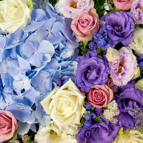 꽃집청년들,보랏빛 꿈결