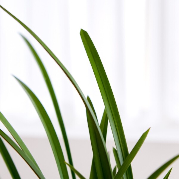 꽃집청년들,철골소심 청자투각