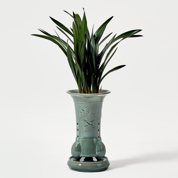 꽃집청년들,산천보세 청자