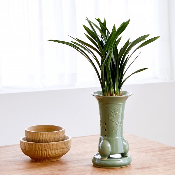 꽃집청년들,산천보세 청자