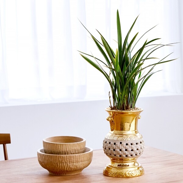 꽃집청년들,황금채홍 황금투각