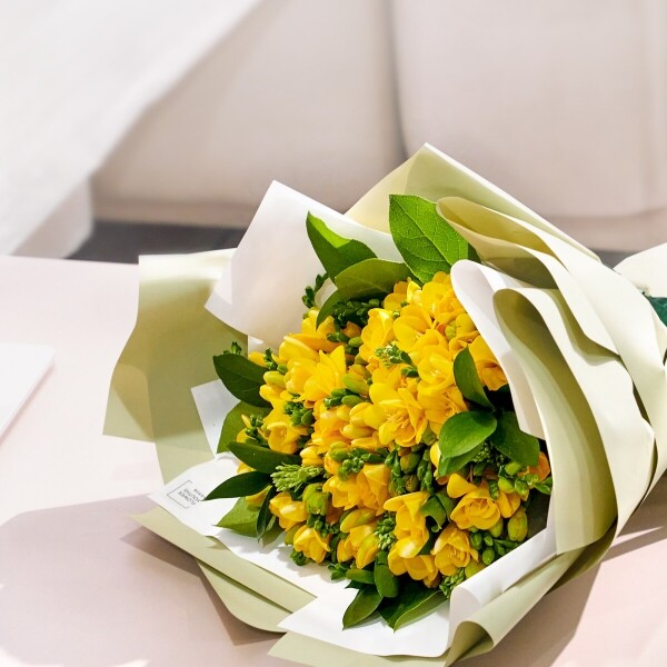 꽃집청년들,향긋한 봄, 프리지아