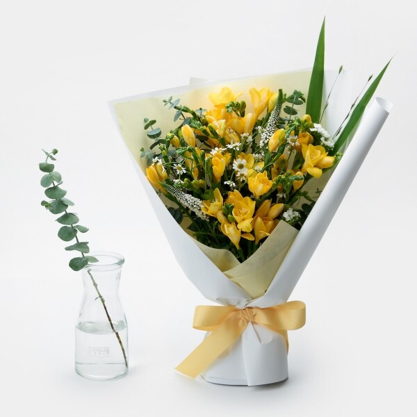 꽃집청년들,봄햇살 프리지아