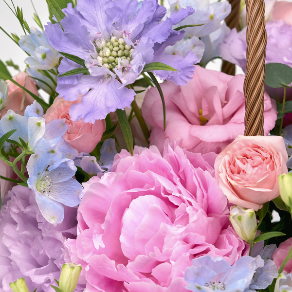 꽃집청년들,레인보우 파스텔