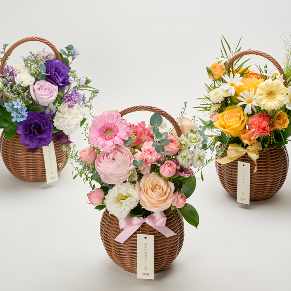 꽃집청년들,시즌 픽 꽃바구니