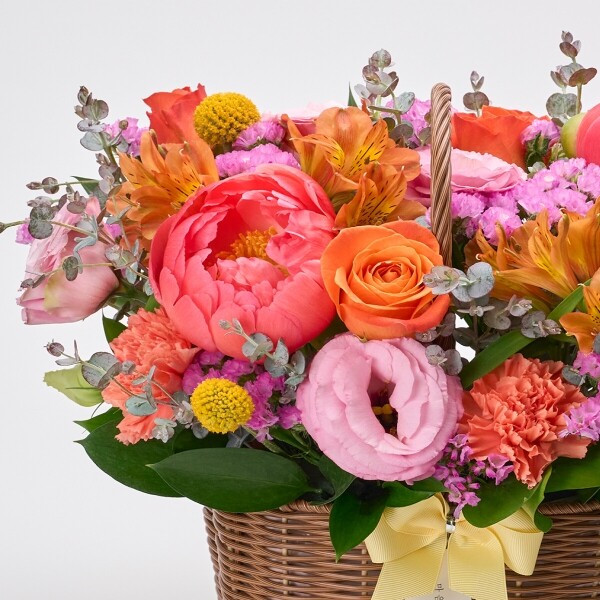 꽃집청년들,썬키스드 코랄