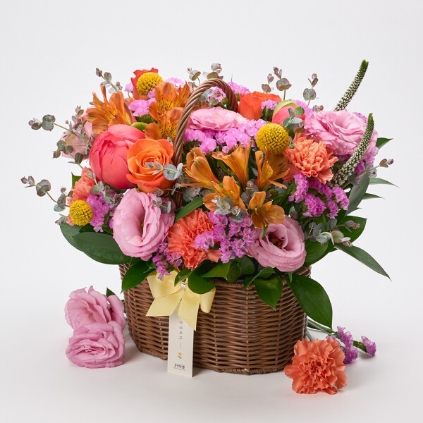 꽃집청년들,썬키스드 코랄