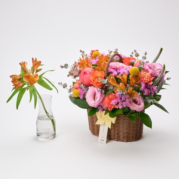 꽃집청년들,썬키스드 코랄