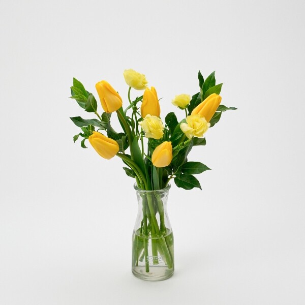 꽃집청년들,레몬트리 5대