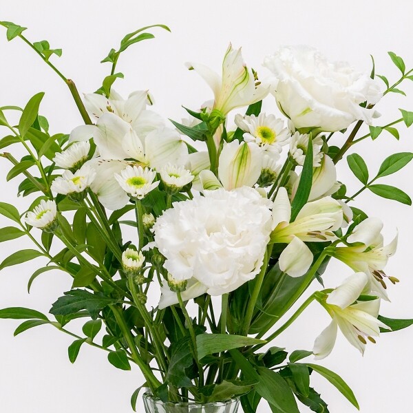 꽃집청년들,MIX 화이트그린