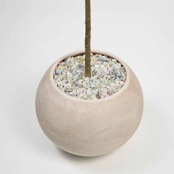 꽃집청년들,올리브(서울한정)