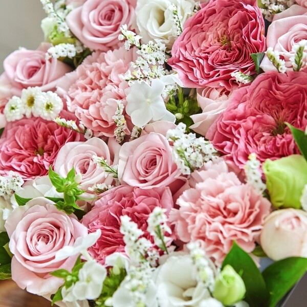 꽃집청년들,로즈가든