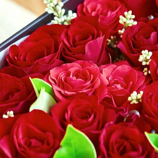 꽃집청년들,오늘부터우리는