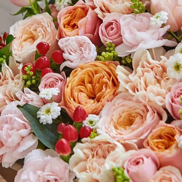 꽃집청년들,오렌지팝