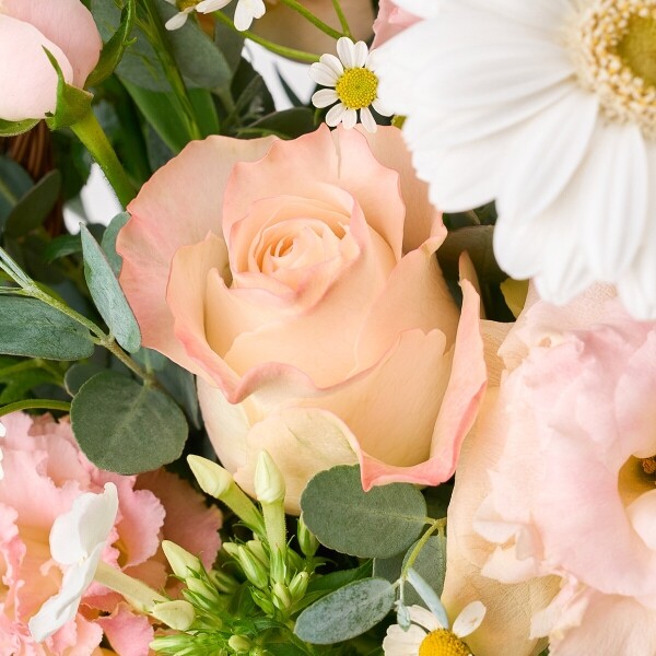 꽃집청년들,미스티 로즈