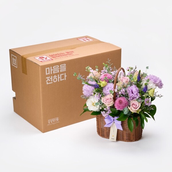 꽃집청년들,바이올렛 세이즈