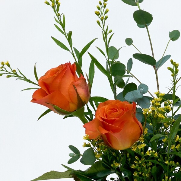 꽃집청년들,MIX S