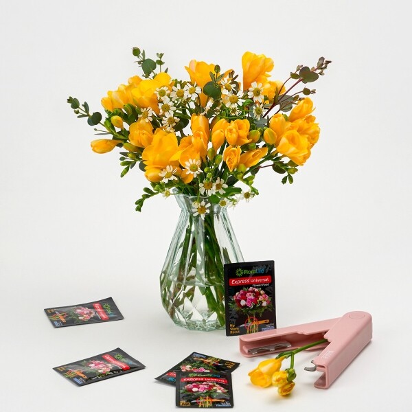 꽃집청년들,MIX 프리지아