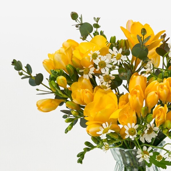 꽃집청년들,MIX 프리지아