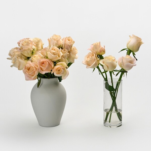 꽃집청년들,하젤 장미 5대