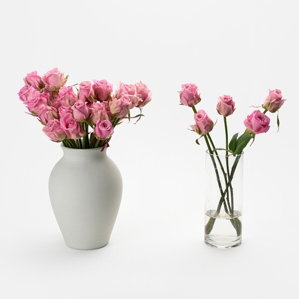 꽃집청년들,헤라 장미 5대