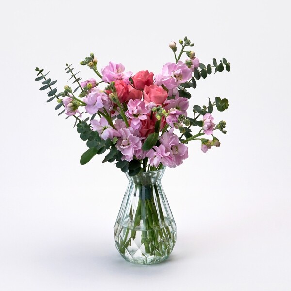 꽃집청년들,스토크 핑크 3대