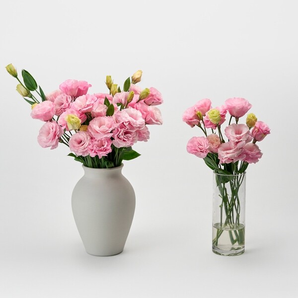 꽃집청년들,리시안셔스 핑크 5대