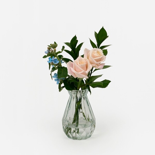 꽃집청년들,부르트 장미 5대