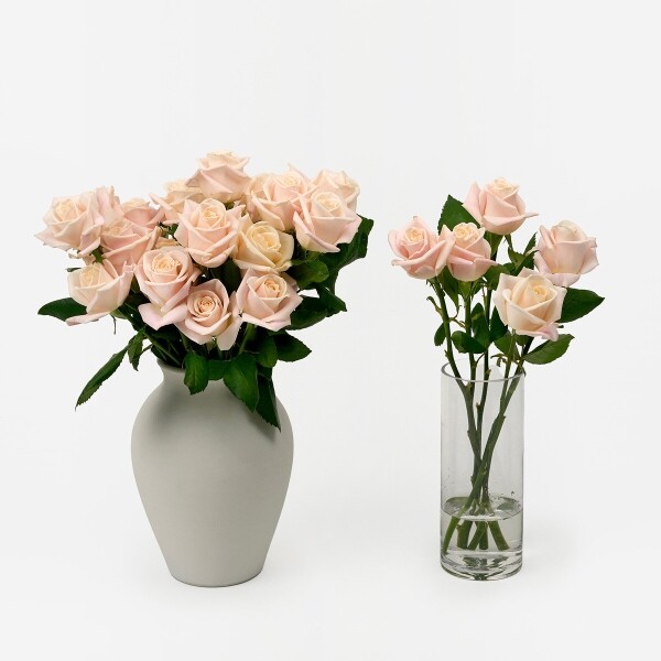 꽃집청년들,부르트 장미 5대