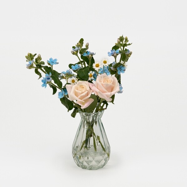 꽃집청년들,옥시 블루 5대