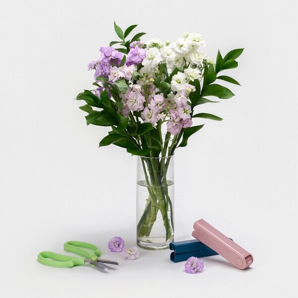 꽃집청년들,MIX 스토크