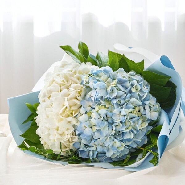 꽃집청년들,여자친구 선물, 생일 꽃다발, 출산 꽃바구니, 전국 꽃배달 서비스, 당일 꽃 배달, 결혼기념일