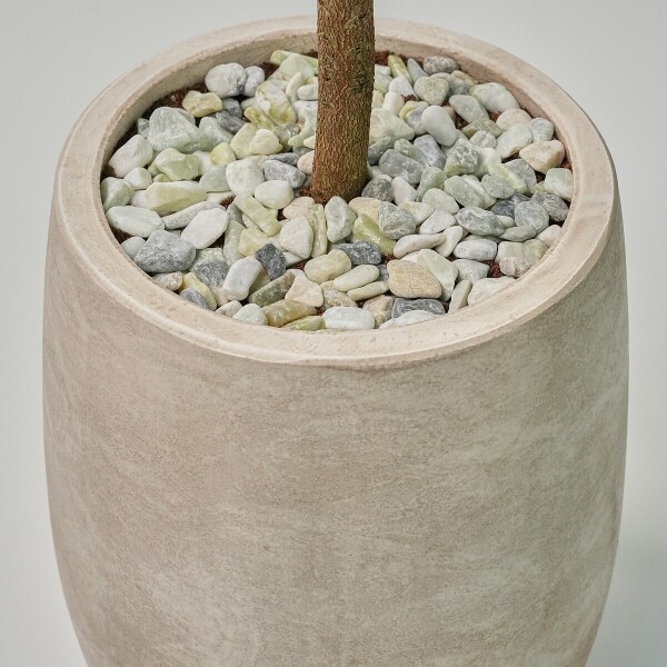 꽃집청년들,피어리스 2호(서울한정)