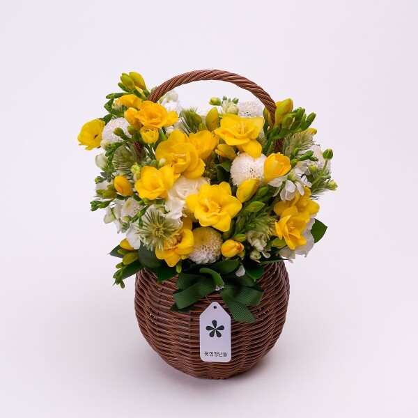 꽃집청년들,프리지아 시즌 꽃바구니