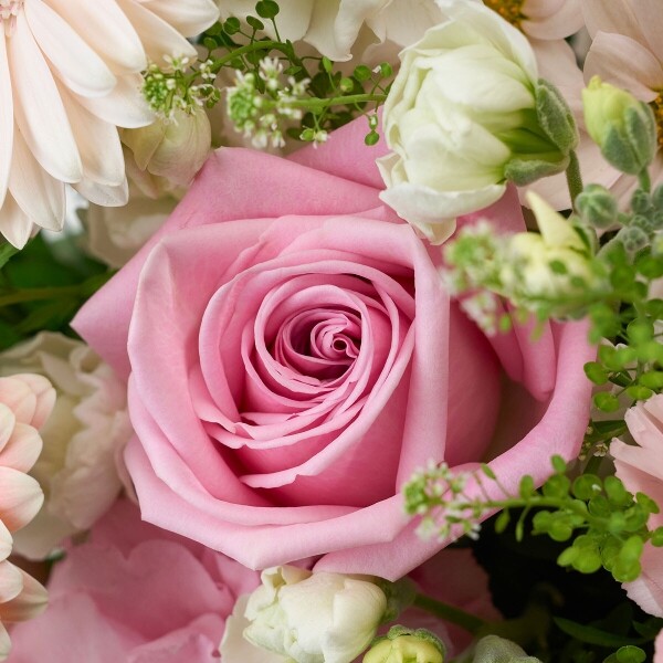 꽃집청년들,화이트데이 계절 꽃바구니