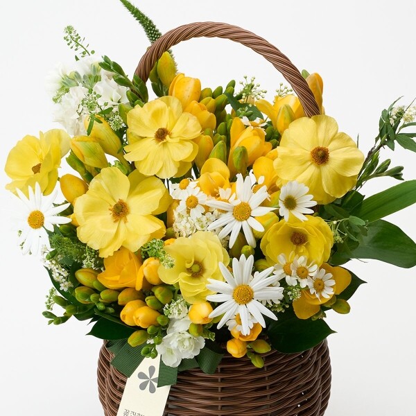 꽃집청년들,화이트데이 프리지아 꽃바구니+사탕