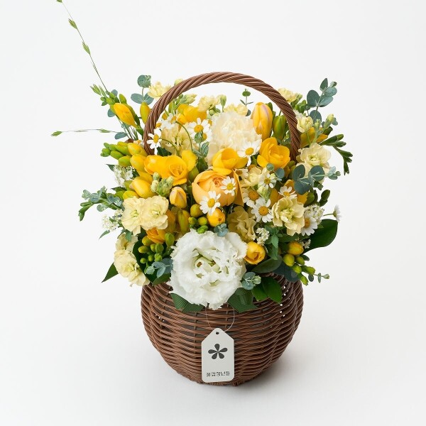 꽃집청년들,화이트데이 프리지아 꽃바구니+사탕