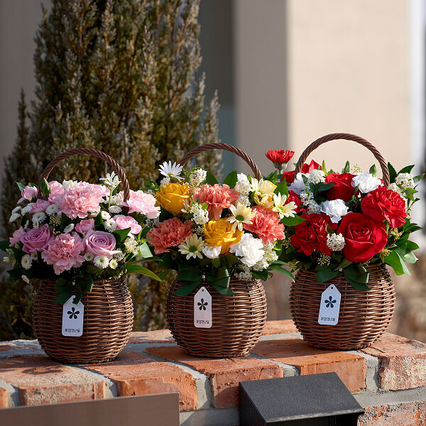 어버이날 계절마음