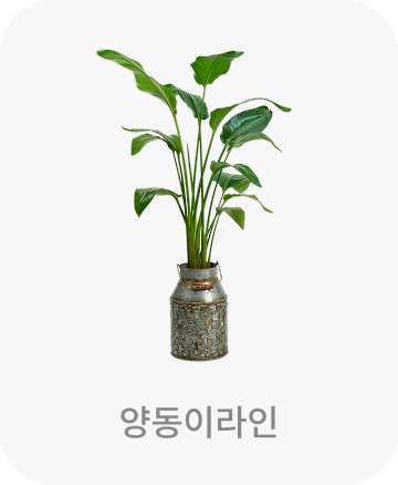양동이라인