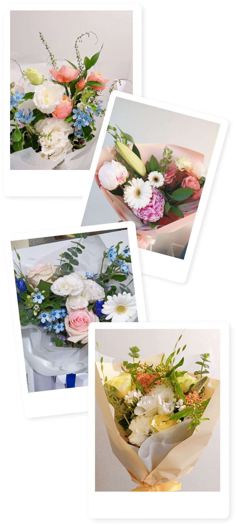 꽃집청년들 꽃구독 회차별 이미지