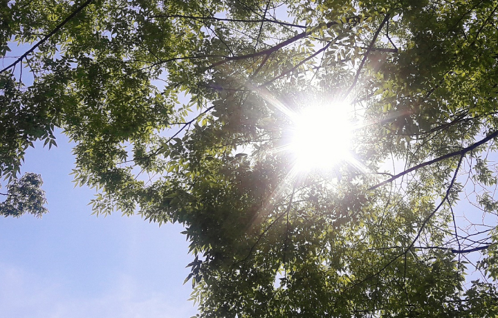 한여름 강한 햇볕