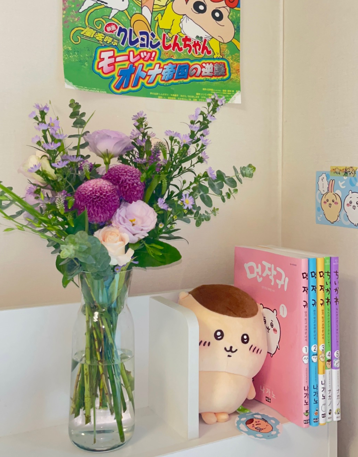 꽃, 폼폰국화, 만화책, 먼작귀