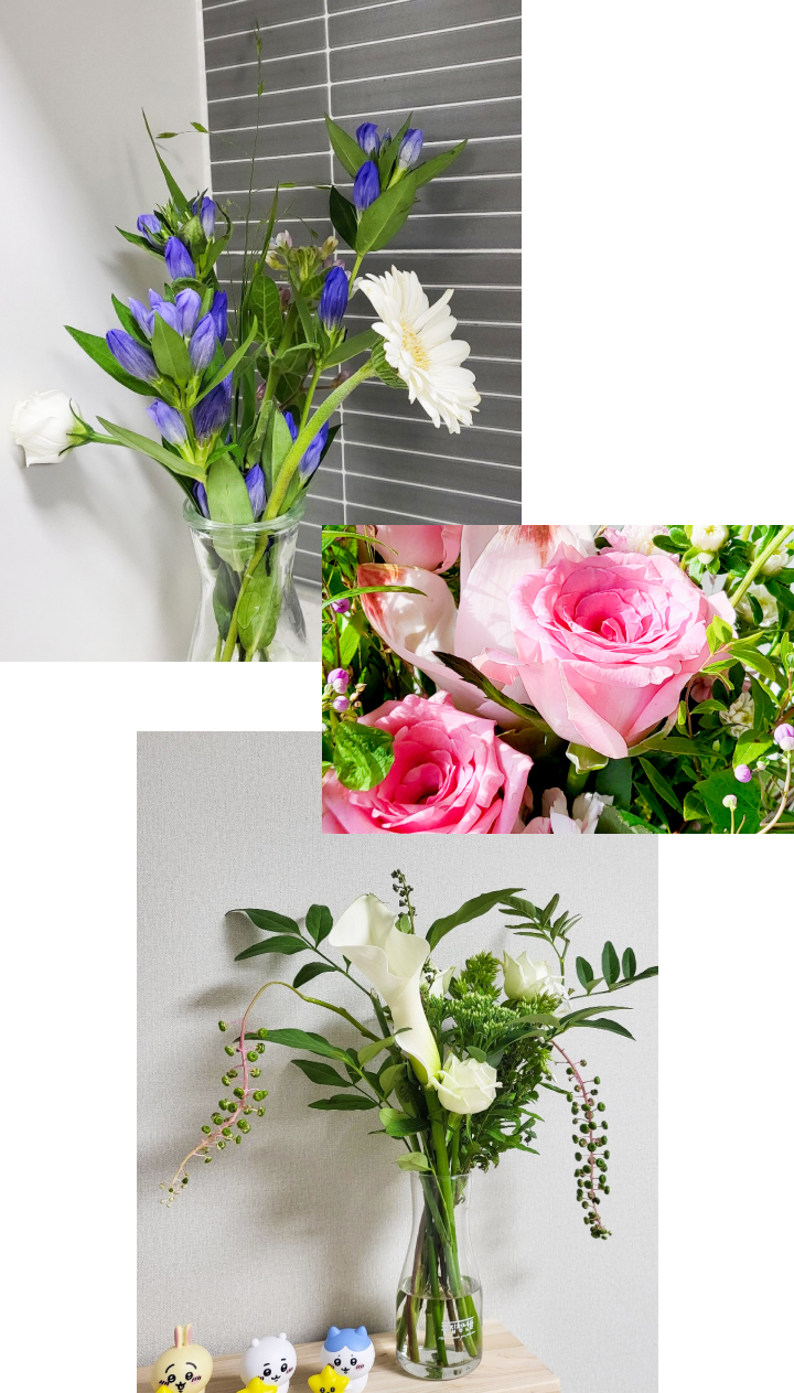 장미, 용담초, 계절꽃, 꽃